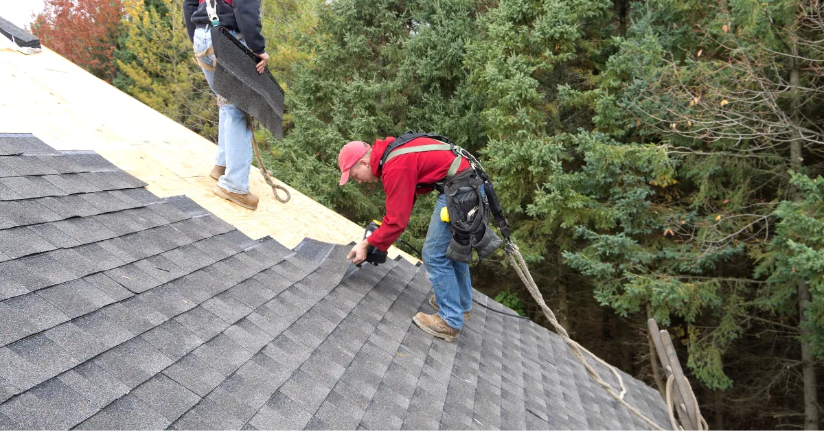 Shingle Roof Repair and Installation